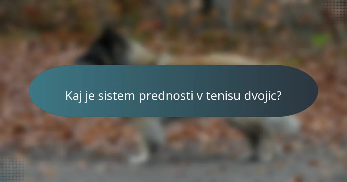 Kaj je sistem prednosti v tenisu dvojic?