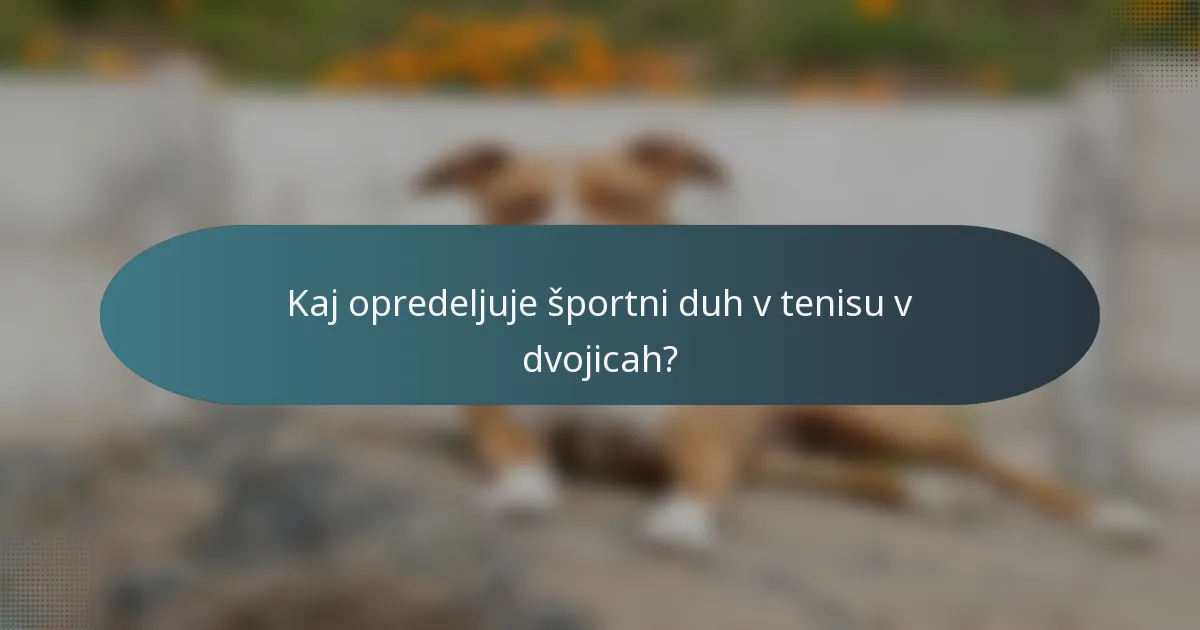 Kaj opredeljuje športni duh v tenisu v dvojicah?