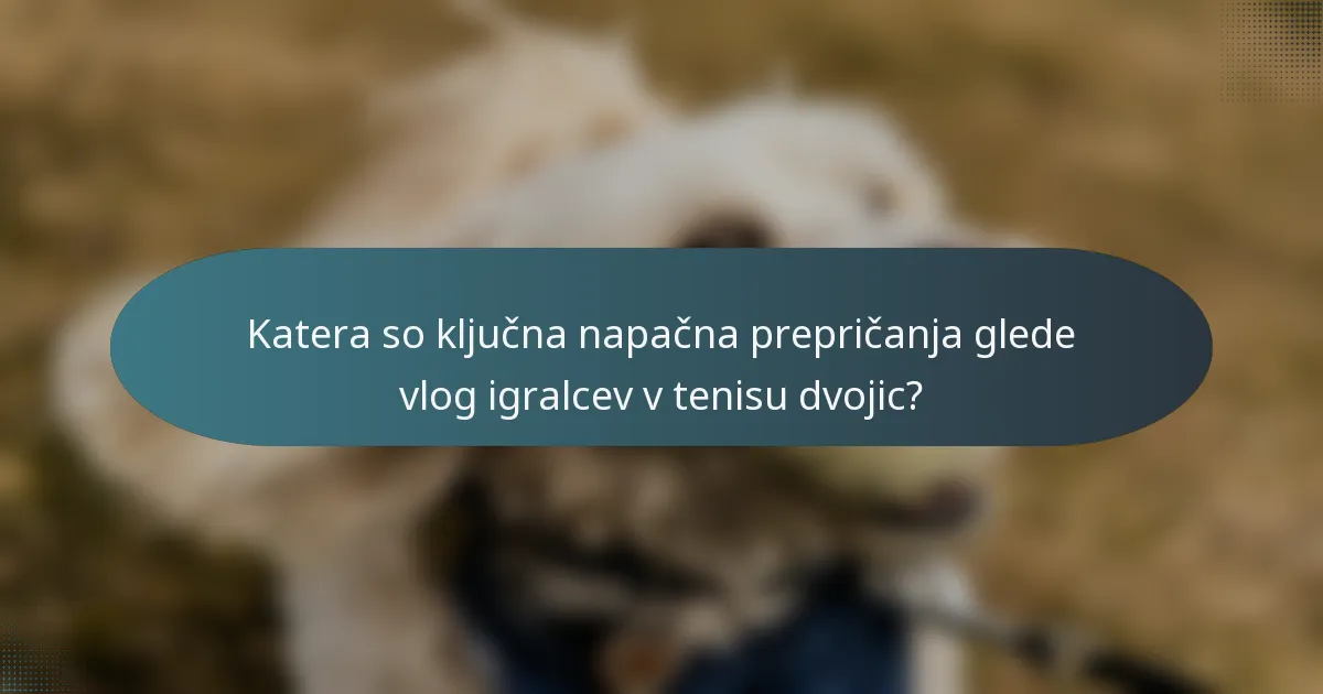 Katera so ključna napačna prepričanja glede vlog igralcev v tenisu dvojic?